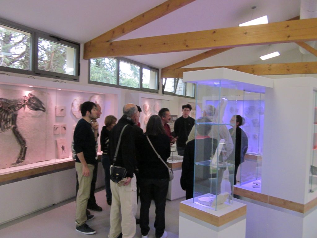 Muséum de l'Ardèche Balazuc visite 2