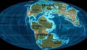 triascontinents triascontinents